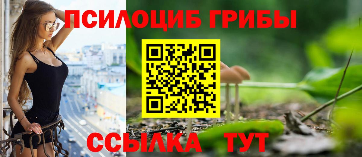 Пугачёв  Псилоцибиновые грибы GOLDEN TEACHER  Вход с VPN 