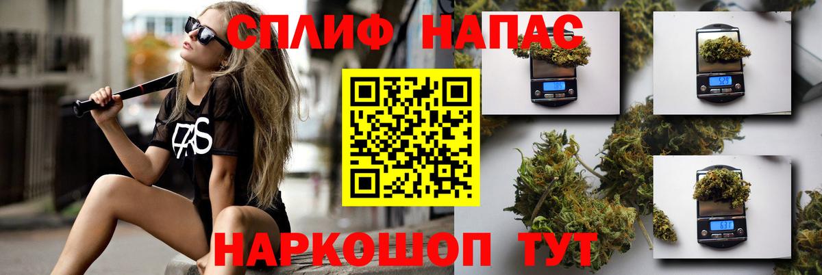 Шишки марихуана гибрид Пугачёв